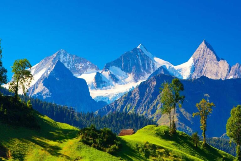 “6N/7D Cloud Trails of Sikkim, Pelling & Darjeeling”
