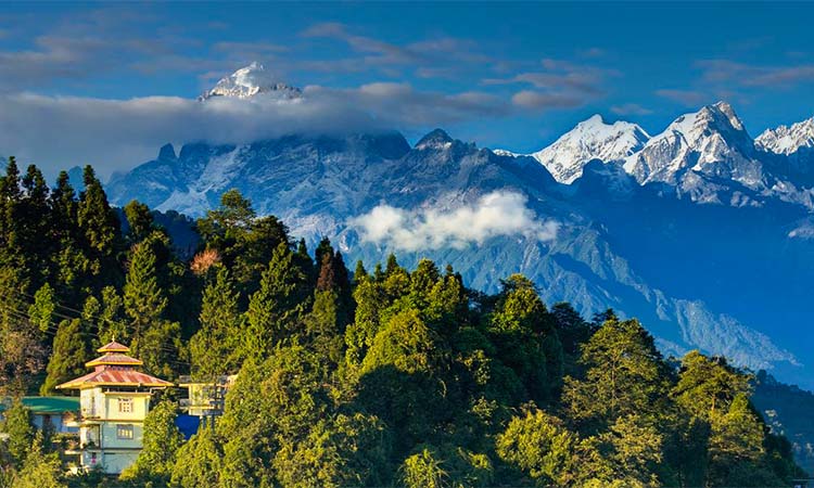 DAY 4 : PELLING FULL DAY TOUR